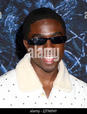 Caleb McLaughlin attending the 'Stranger Things' Season 4 World Premiere held at Netflix Studios on May 14, 2022 in Brooklyn, NY ©Steven Bergman/AFF-USA.COM Stock Photo