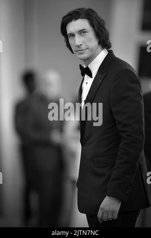 blazer adam driver white shirt