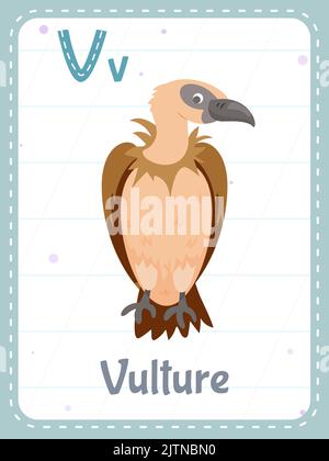 Alphabet printable flashcard with letter V. Cartoon cute vulture bird and english word on flash card for children education. School memory card for kindergarten kids flat vector illustration. Stock Vector