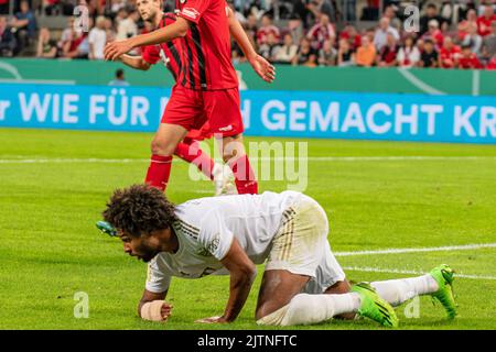 Cologne, North Rhine-Westphalia, Germany. 31st Aug, 2022. FC Bayern Munich forward SERGE GNABRY (7) is slow getting back to his feet during the DFB Pokal first round match against FC Viktoria Cologne 1904 in the RheinEnergieStadion in Cologne, Germany. (Credit Image: © Kai Dambach/ZUMA Press Wire) Stock Photo