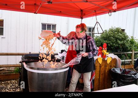 BELLEVUE, WASHINGTON, USA – APRIL 30, 2022: Kelsey Creek Farm Park heritage event, woman cooking kettle corn outside under a red awning Stock Photo
