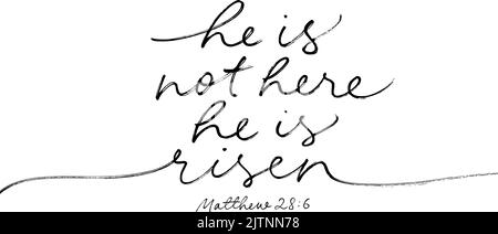 He is not here He is Risen simple line calligraphy Stock Vector