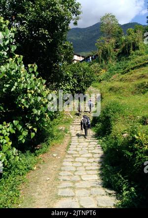 Annapurna, Nepal - November 10, 2017 : On The Way To Annapurna Base Camp Nepal Stock Photo