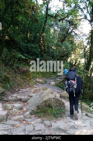 Annapurna, Nepal - November 10, 2017 : On The Way To Annapurna Base Camp Nepal Stock Photo