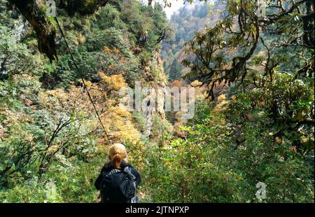 Annapurna, Nepal - November 10, 2017 : On The Way To Annapurna Base Camp Nepal Stock Photo