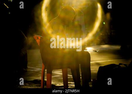 Strange effects from camera lenses create sunlight. Light pants surrounding people or objects are the technology of ancient len cametra Stock Photo
