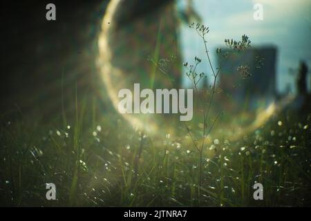 Strange effects from camera lenses create sunlight. Light pants surrounding people or objects are the technology of ancient len cametra Stock Photo