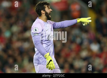 Liverpool, England, 31st August 2022.  Alisson Becker of Liverpool during the Premier League match at Anfield, Liverpool. Picture credit should read: Darren Staples / Sportimage Stock Photo