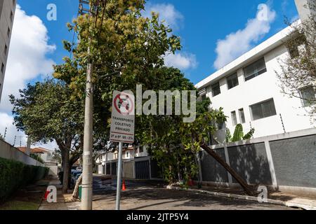 Tree branch stuck on electrical wires after a heavy storm. Stock Photo