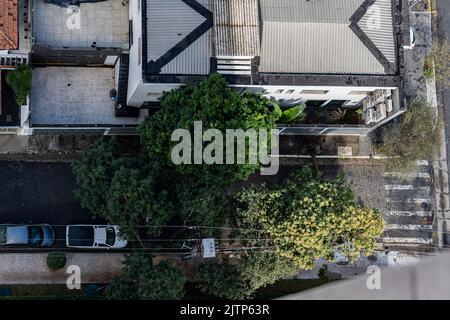 Tree branch stuck on electrical wires after a heavy storm. Stock Photo