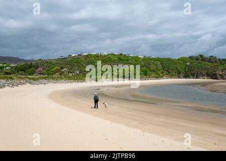 Woman and her dog on the beach between Borth-y-Gest and Ynys Cyngar near Morfa Bychan, North Wales. Stock Photo