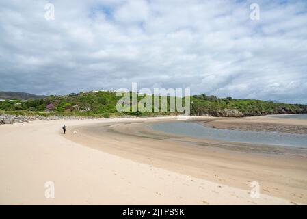 Woman and her dog on the beach between Borth-y-Gest and Ynys Cyngar near Morfa Bychan, North Wales. Stock Photo