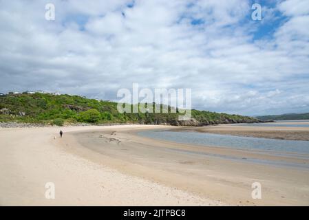 Woman and her dog on the beach between Borth-y-Gest and Ynys Cyngar near Morfa Bychan, North Wales. Stock Photo