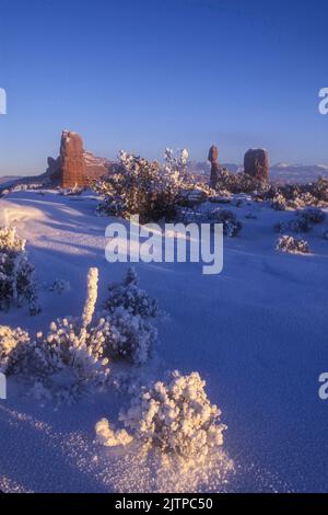 Plants covered with hoarfrost near Balanced Rock after a week of freezing fog in Arches National Park, Moab, Utah. Stock Photo