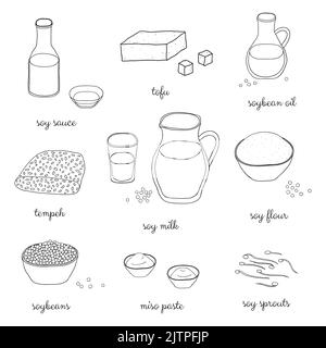 Hand drawn outline soy products isolated on white background. Soy sauce, oil, milk, flour, sprouts, miso paste, soybeans, tempeh. Stock Vector