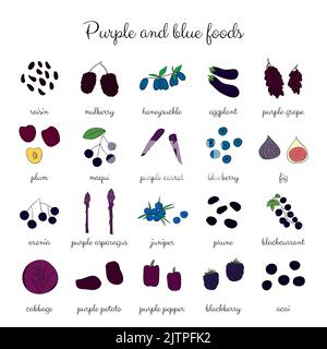 Hand drawn purple, blue fruits, berries and vegetables isolated on white background. Stock Vector