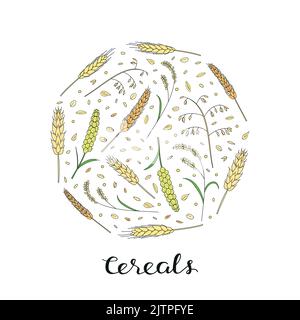 Rye Lettering Image Rice Lettering Vector Background for design Stock Vector Image & Art ...