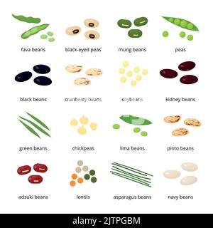 Set of different cartoon beans and legumes isolated on white background. Stock Vector