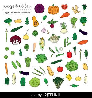 Big collection of hand drawn vegetables and leafy greens isolated on white background. Stock Vector