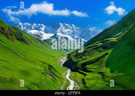 Green pasture and Patara enguri river against highest georgian mountain Shkhara near Ushguli in Georgia. Stock Photo