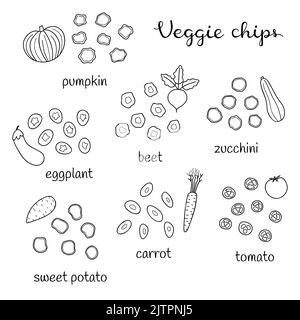 Different doodle outline veggie chips including pumpkin, eggplant, beet, zucchini, sweet potato, carrot, tomato isolated on white background. Stock Vector