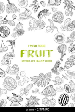 Fruit collection in flat hand drawn style, illustrations set. Decorative retro style collection hand drawn farm product for restaurant menu. Vector. Stock Vector