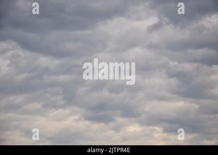 Gray stormy sky with cumulus clouds. Picturesque overcast sky with many clouds. Air clouds background, full frame. Copy space. Soft focus. Stock Photo
