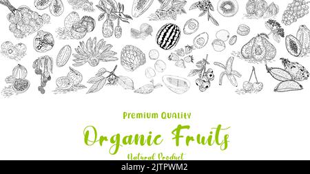 Fruit collection in flat hand drawn style, illustrations set. Decorative retro style collection hand drawn farm product for restaurant menu. Vector. Stock Vector