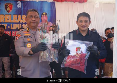 Makassar, South Sulawesi, Indonesia. 1st Sep, 2022. Two police officers from the South Sulawesi region, showed evidence of the results of the disclosure of criminal cases for three weeks in an operation called OPERASI SIKAT which was held in Makassar City, Gowa Regency and Maros Regency. Dozens of crime suspects and evidence were successfully secured and presented at a press conference held at the South Sulawesi Police Headquarters, Wednesday, September 1, 2022. The cases revealed were robbery, theft, and crimes of assault using arrows. (Credit Image: © Herwin Bahar/Pacific Press via ZUMA Stock Photo