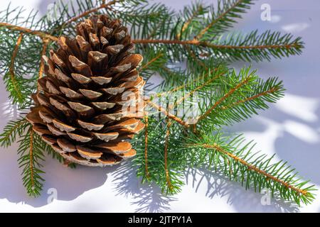 Pine cone with branch Christmas decoration Stock Photo