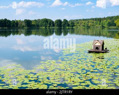view of forest lake with wooden floating duck house and water lilies near Raifa Bogoroditsky Monastery, Russia on sunny summer day Stock Photo