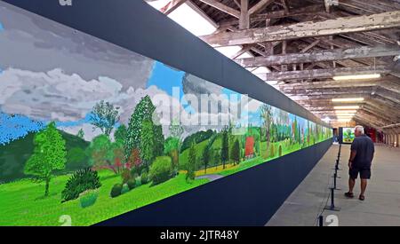 A man viewing at an exhibition at Salts mill - David Hockney- A Year In Normandie landscapes, part of the Saltaire Festival 2022 Stock Photo