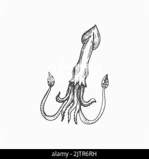 Squid giant cuttlefish Cephalopods mollusk hooked-squid isolated hand drawn sketch. Vector marine underwater character mascot, seafood. Aquatic animal with elongated body, large eyes and eight arms Stock Vector