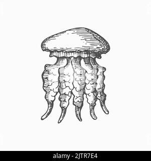 Ocean jellyfish with long tentacles isolated medusa monochrome sketch icon. Vector toxic medusa sea jellies, tattoo design element. Sea and ocean unde Stock Vector