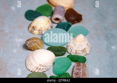 Shells and pebbles from the sea. A background of nautical objects. Stock Photo