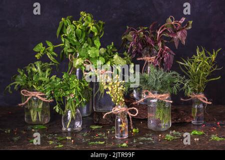 Kitchen still life - bunches of green fresh garden herbs covered with water drops stand in glass jars on table against dark background. Organic garden Stock Photo
