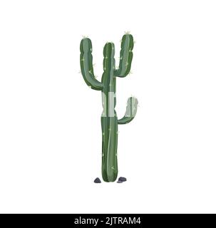 Mexican giant cardon or elephant cactus, western cactus tropical succulent grown in desert isolated. Vector indians and native americans cacti with thorns, prickly succulent plant tall spiky tree Stock Vector