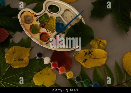 Children's picture made from autumn leaves with pencil drawing on paper Stock Photo