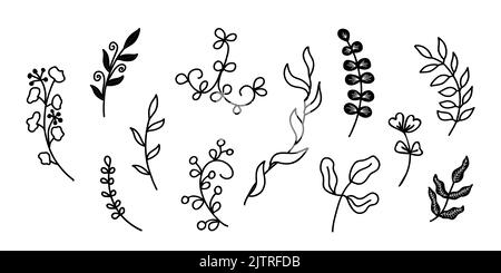 A large set with various twigs. Clip art in doodle style. Vector design for stickers and tattoos Stock Vector
