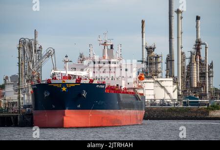 Petroleumhaven, Shell Terminal Europoort, crude oil tank farm, bulk tanks, and loading terminals for overseas and inland vessels, Europoort bulk tanke Stock Photo