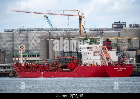 Vopak Terminal Vlaardingen, Large tank farm, independent terminal with deep sea access in the port of Rotterdam, specialised in the storage of vegetab Stock Photo