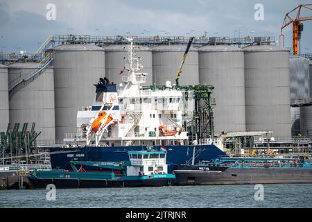 Vopak Terminal Vlaardingen, Large tank farm, independent terminal with deep sea access in the port of Rotterdam, specialised in the storage of vegetab Stock Photo