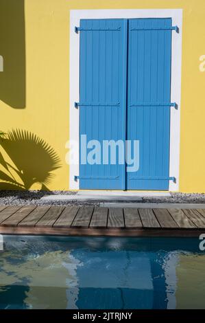 shadow of coconut palm on yellow wall Stock Photo