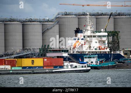 Vopak Terminal Vlaardingen, Large tank farm, independent terminal with deep sea access in the port of Rotterdam, specialised in the storage of vegetab Stock Photo