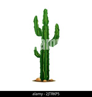 Cartoon prickly succulent, mexican giant cardon or elephant cactus isolated western tropical plant grown in desert. Vector prickly plant tall spiky tr Stock Vector