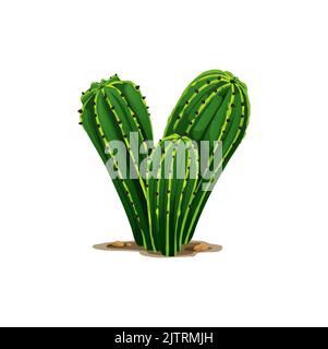 Three cartoon cactuses growing in stones and sand isolated succulent cactus. Vector desert cacti exotic mexican or jungle plant, sharp thorns, prickly Stock Vector