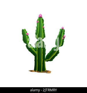 Saguaro cactus pink flowers isolated western opuntia tropical botanical plant. Vector cartoon cacti with thorns. Prickly succulent ferocactus large barrel cacti with spines grown in mexican dessert Stock Vector