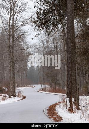 A road curves through the forest while a snow storm gives it a fresh covering, Whitefish Dunes State Park, Door County, Wisconsin Stock Photo