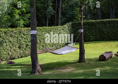 empty pendant hammock in trees on green lawn in backyard near thuja bushes hedge. Rest relax relaxation on hammock swing in summer sunny garden on the Stock Photo