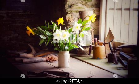 Vase of daffodils in a traditional garden shed - John Gollop Stock Photo